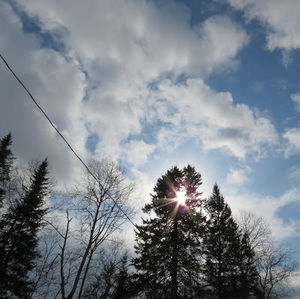 Meet your Posher, Tabatha